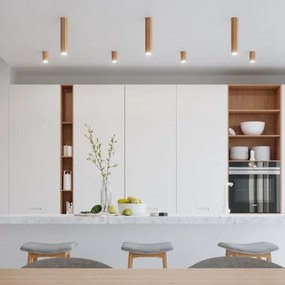 Sollux SL.1033 - Bodové svietidlo ZEKE 1xGU10/40W/230V 10 cm dub