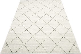 TA Koberec 19436/062 DŽUNGĽA Rozmer: 80x150 cm