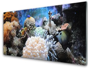 Sklenený obklad Do kuchyne Koralový útes príroda 125x50 cm