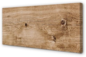 Obraz canvas Plank dreva 100x50 cm