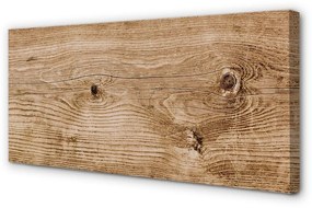 Obraz canvas Plank dreva 120x60 cm