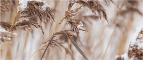 Obraz - Lipnica (120x50 cm)