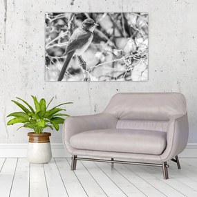 Obraz - Modrý vták v zime (90x60 cm)