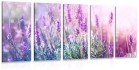 5-dielny obraz kúzelné kvety levandule - 200x100