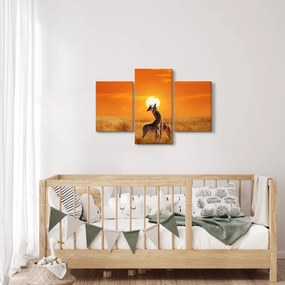 Obraz - Žirafy v národnom parku Serengeti (90x60 cm)