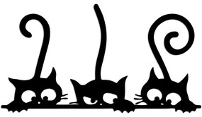 Cat 5