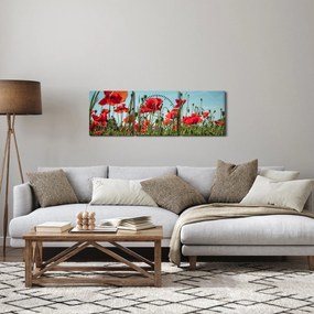 Obraz - Na poli vlčích makov (s hodinami) (90x30 cm)