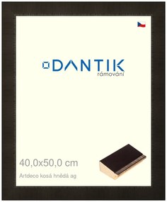 DANTIK rám na obraz 40x50 | Artdeco kosá hnědá AG (Sklo Čiré)