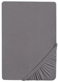 Biberna Napínacia džersejová plachta (strieborná/sivá, 140 – 160 x 200 cm)  (100227068)