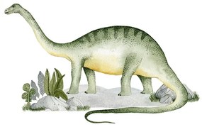 Nálepka na stenu, Brontosaurus