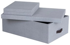 Svetlosivé kartónové úložné boxy s vekom v súprave 3 ks 31x47x15 cm Inge – Bigso Box of Sweden