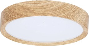 BRILAGI - LED stropné svietidlo NATURA LED/12W/230V 4000K pr. 26,3 cm