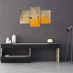 Obraz - Makro kvetu (90x60 cm)
