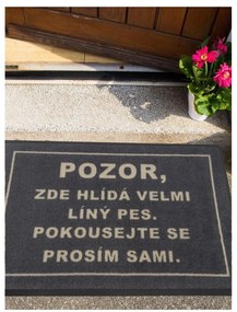 GDmats, Rohožka Lenivý pes 40x60 cm – na von aj na doma, 40x60, šedá