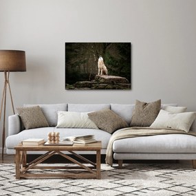 Obraz - Vytie vlka (70x50 cm)