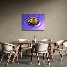 Obraz - Lekno (70x50 cm)