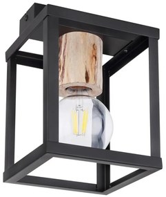 Globo 15476D - Stropné svietidlo HAGAR 1xE27/60W/230V