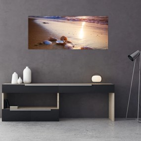 Obraz - Mušle (120x50 cm)