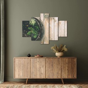 Obraz sukulentov v skle (150x105 cm)