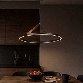 Rabalux 72352 - LED závesný luster na lanku RENARA LED/40W/230V 3000K