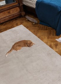 Koberec Rabbit 62 CREAM – krémový shaggy obdĺžnik Rozmer: 80x150 cm