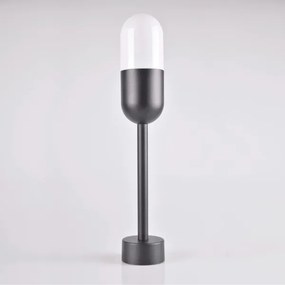 Vonkajšia lampa HORTEN 1xE27/10W/230V IP44 44 cm