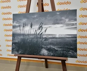 Obraz západ slnka na pláži v čiernobielom prevedení