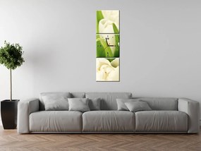 Gario Obraz s hodinami Jemné tulipány - 3 dielny Rozmery: 80 x 40 cm