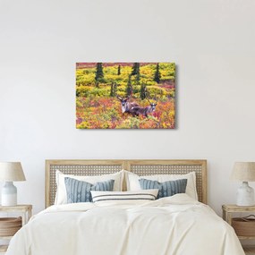 Obraz - Karibu na Aljaške (90x60 cm)