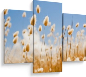 Obraz - Zlaté pole (90x60 cm)