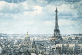 Fototapeta zimný Paríž - 225x150