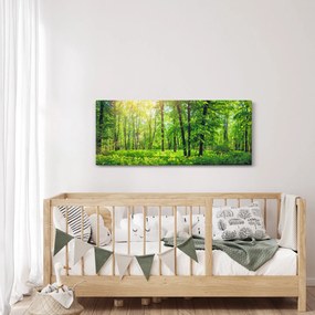 Obraz - Jarný listnatý les (120x50 cm)