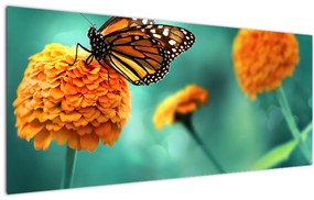 Obraz motýľa (120x50 cm)