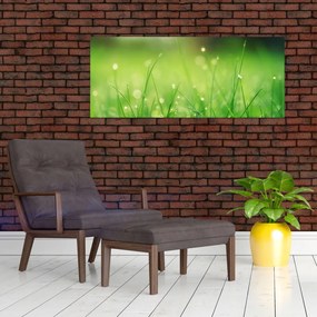 Obraz - rosa na tráve (120x50 cm)