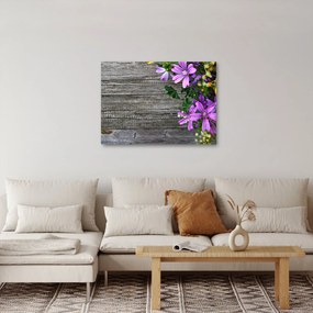 Obraz - lúčne kvety (70x50 cm)