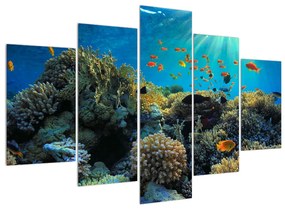 Obraz podmorského sveta (150x105 cm)