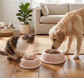 Kameninová miska pre domáceho miláčika ø 21 cm – Casafina