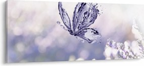 Obraz - Motýľ a levanduľa (120x50 cm)
