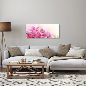 Obraz - Ružové kvety (120x50 cm)