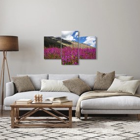 Obraz scenérie horské lúky (90x60 cm)