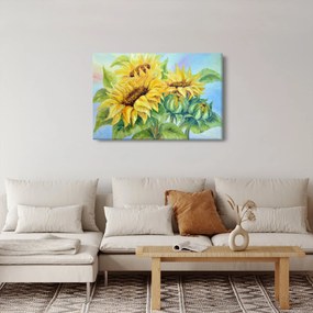 Obraz rozkvitnutých slnečníc (90x60 cm)