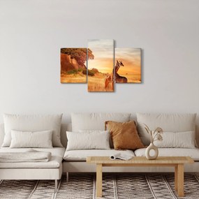 Obraz - Žirafy v Afrike (90x60 cm)