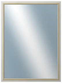 DANTIK - Zrkadlo v rámu, rozmer s rámom 60x80 cm z lišty RIVIERA Au (3100)