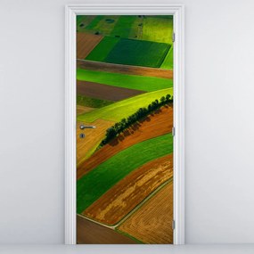 Fototapeta na dvere - Pole (95x205cm)