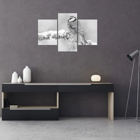 Obraz - Vtáčik na vetve (90x60 cm)