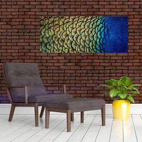 Obraz - Pávie perie (120x50 cm)