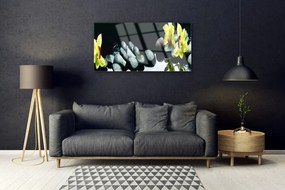 Obraz na akrylátovom skle Kvet kamene 100x50 cm
