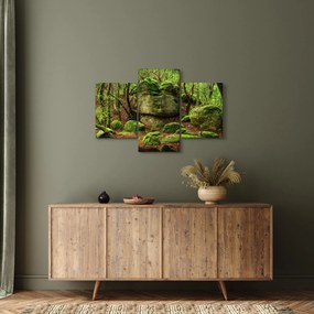 Obraz čarovného lesa (90x60 cm)