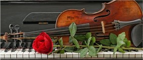 Obraz - Spomienka na hudobníka (120x50 cm)