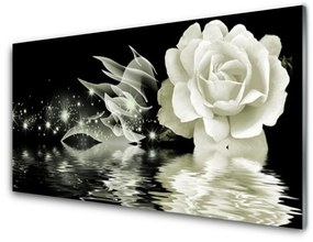 Obraz na skle Ruže kvet 100x50 cm